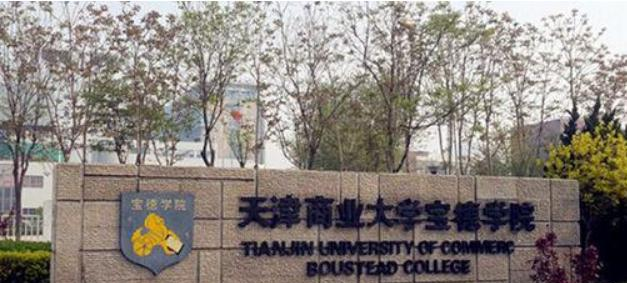 天津商业大学宝德学院艺术类专业有哪些？（艺术类专业）