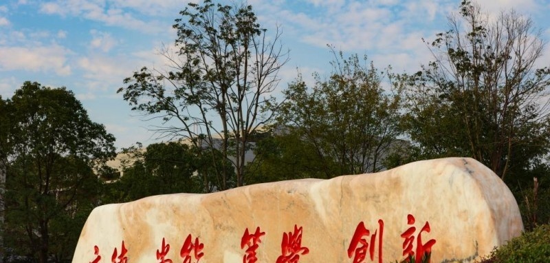 高职单独招生成绩查询入口