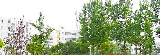 民办万博科技职业学院2020年招生办