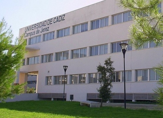卡的斯大学