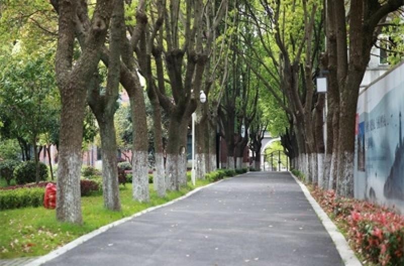 苏州阿德科特学校