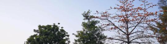 佛山三水区工业中等专业学校怎么样、好不好