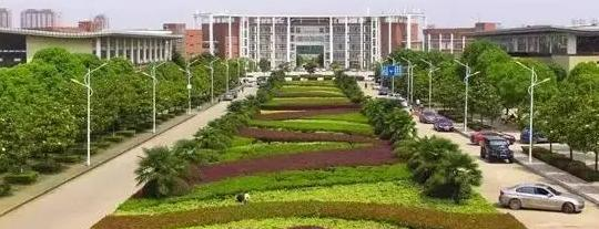 2023年武汉体育学院体育科技学院艺术类招生简章