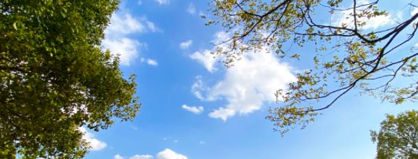 湖南三一工业职业技术学院单招