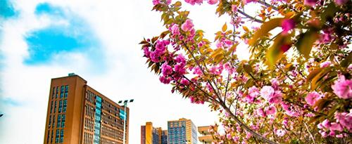 四川希望汽车职业学院2022年招生代码