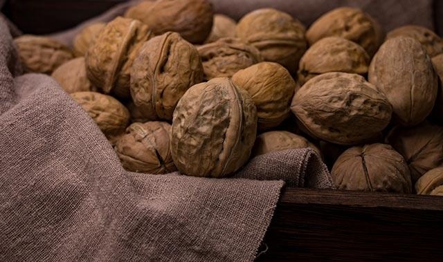 10岁孩子记忆力差怎么办