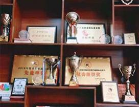 青岛鸿鹰武术馆