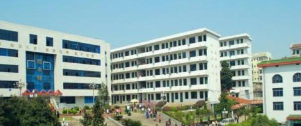 临武县职业中专