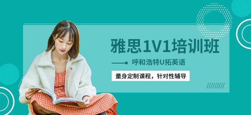 呼和浩特雅思一对一