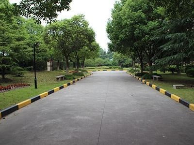 上海诺科学校