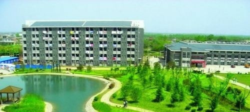 安徽涉外经济职业学院2019年单招录取分数线