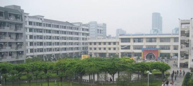 浙江育英职业技术学院2019年单招录取分数线