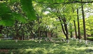 上海科桥学院