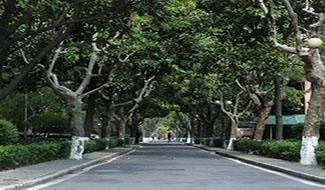 上海科桥学院