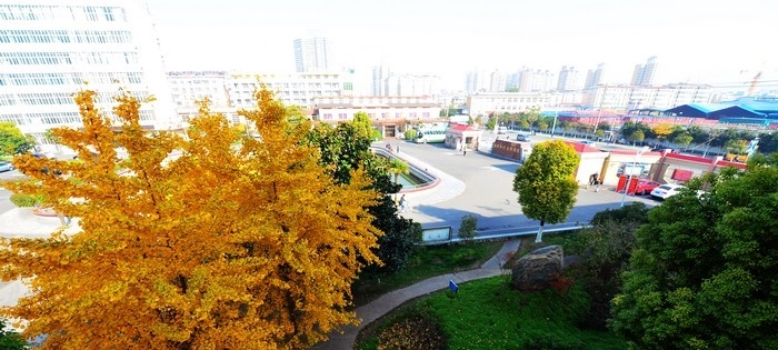 安徽矿业职业技术学院单招