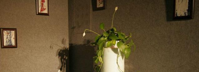 景德镇陶瓷职业技术学院2019年单招录取分数线