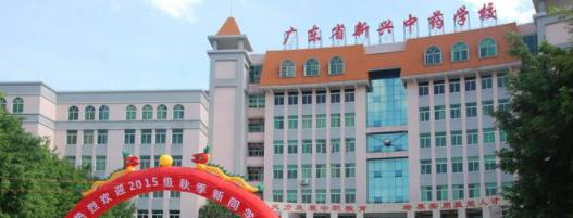 广东新兴中药学校3