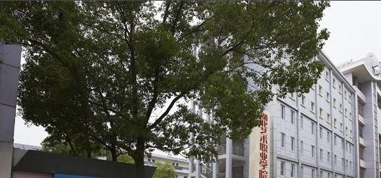 湖北艺术职业学院