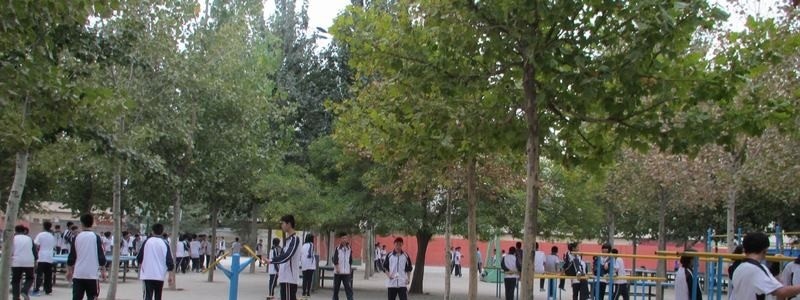 德州卫生学校2018年报名条件、招生对象