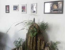 青岛众智电商培训