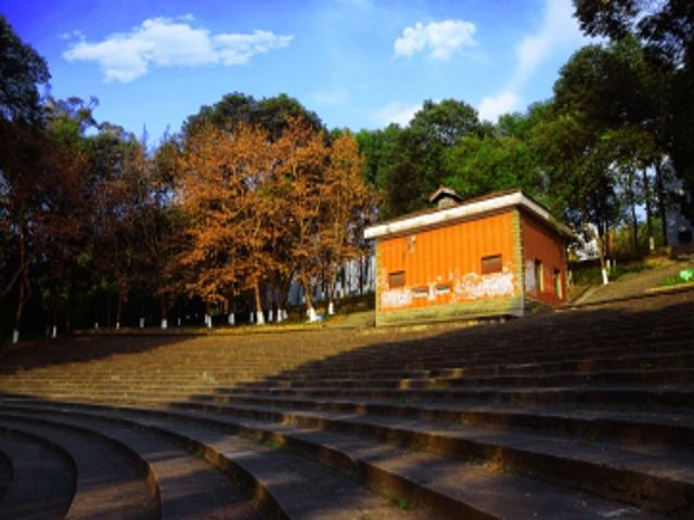 校园风景（五）