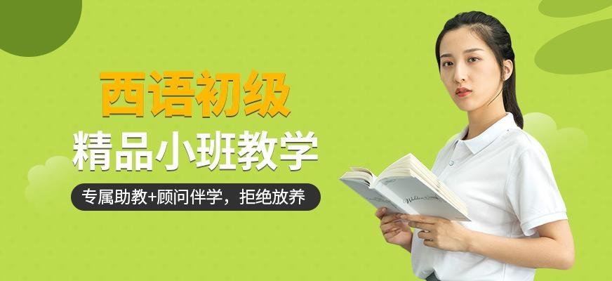 西语初级线上培训