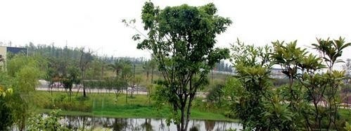 重庆应用技术职业学院五年制大专