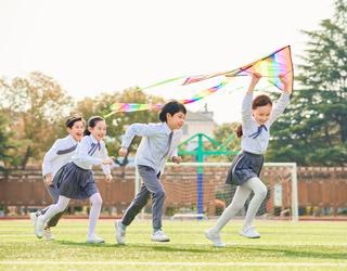 系统性