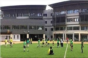 青苗国际双语学校