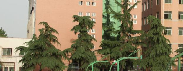 河南新闻出版学校2022年招生录取分数线