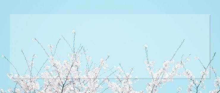 东莞0基础高考日语培训机构