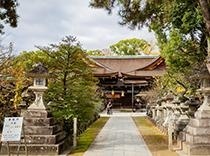 系统学习