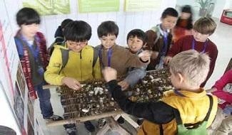 深圳QSI国际学校