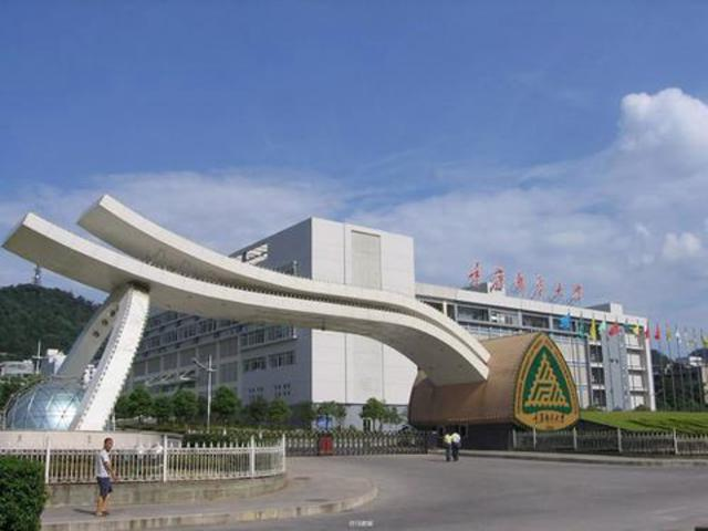 校园风采（二）