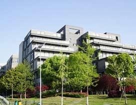 武汉新文道考研