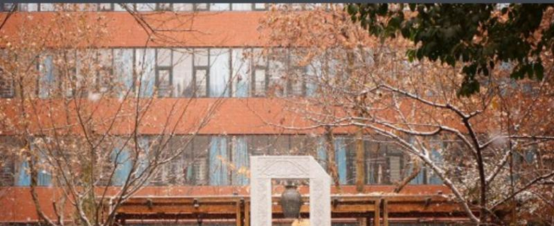 石家庄外国语学校2023年招生计划