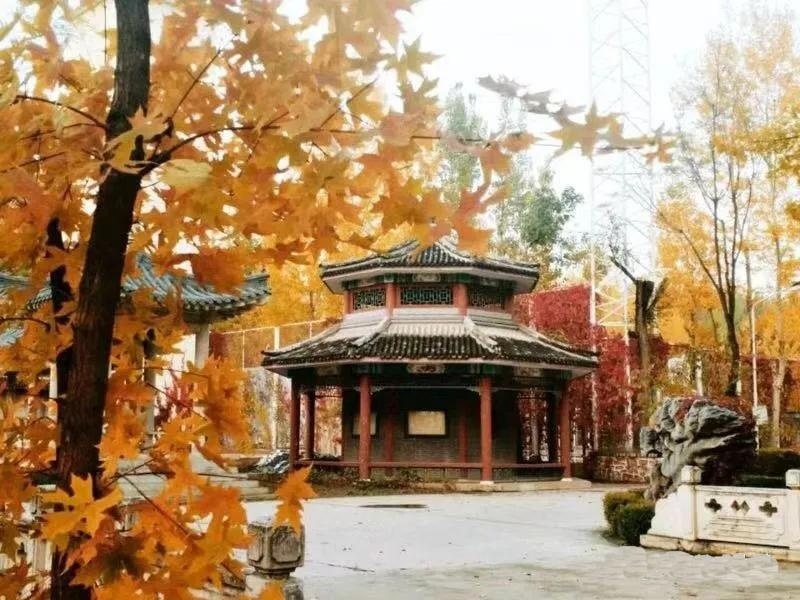 橘郡美高国际学校