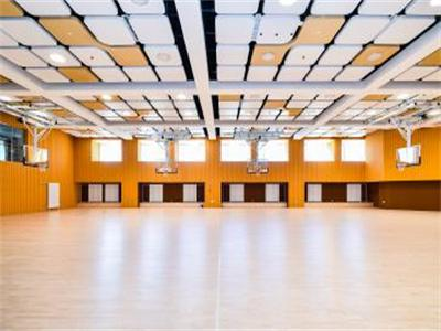 斯芬克国际艺术高中