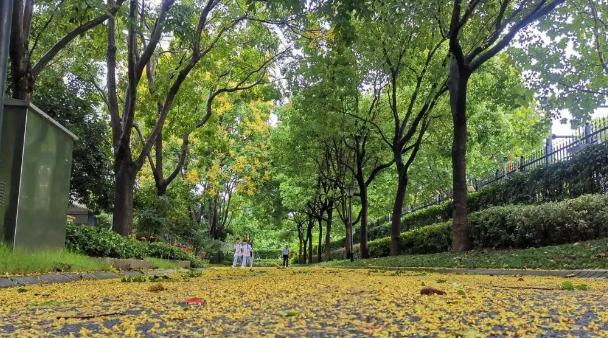 杭州市电子信息职业学校2023年报名条件、招生要求、招生对象