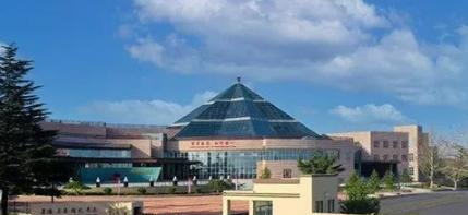 烟台南山学院是不是双大学？