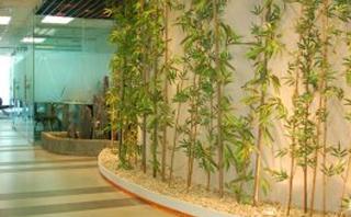 郑州新世界教育