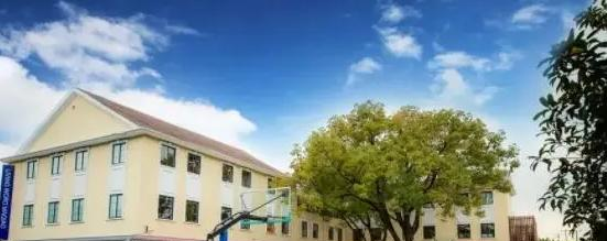 2023年上海美高双语学校初中部课程体系