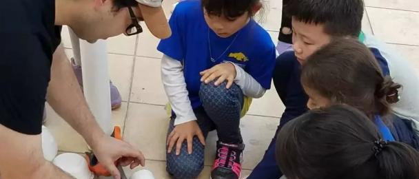 深圳深美国际学校初中部