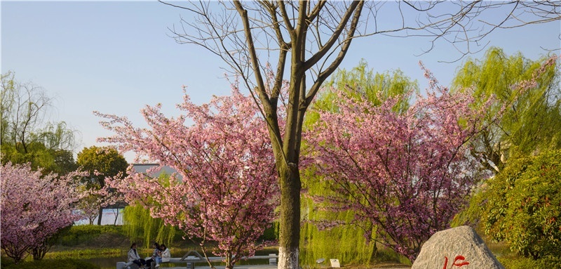 宿迁爱迪生中等专业学校