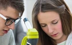 西谷卡内基高中