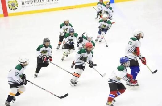 北京市私立汇佳学校