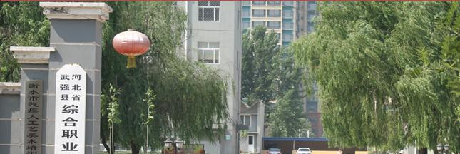 武强综合职业技术教育中心