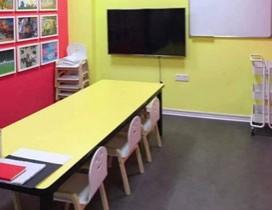 武汉大墨蒲公英