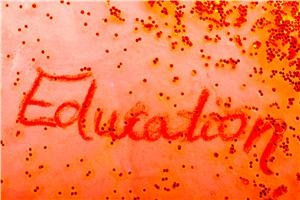 渤海大学在职研究生录取分数线是多少