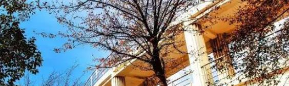 马鞍山师范高等专科学校地址在哪里